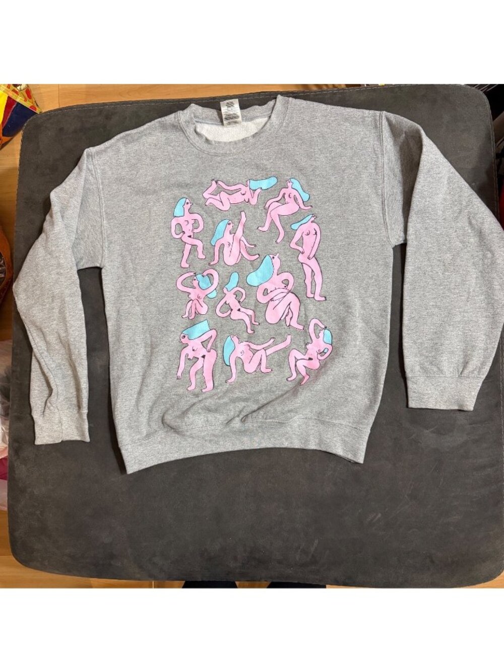 Eva Stalinski “Nudes” Gray Sweatshirt W/ Abstract Pink & Blue Feminine Graphic P
